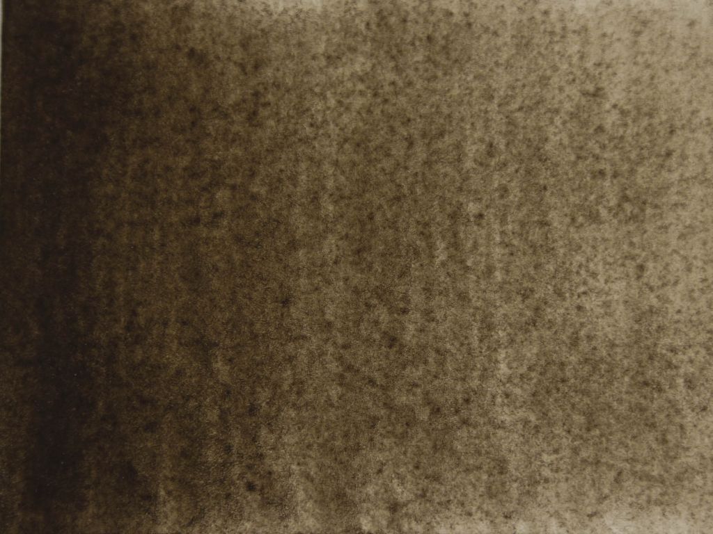 Raw Umber, greenish dark