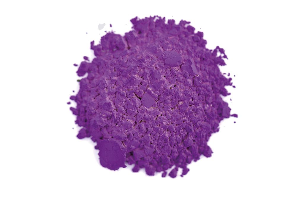 Photochrome Pigment Purple