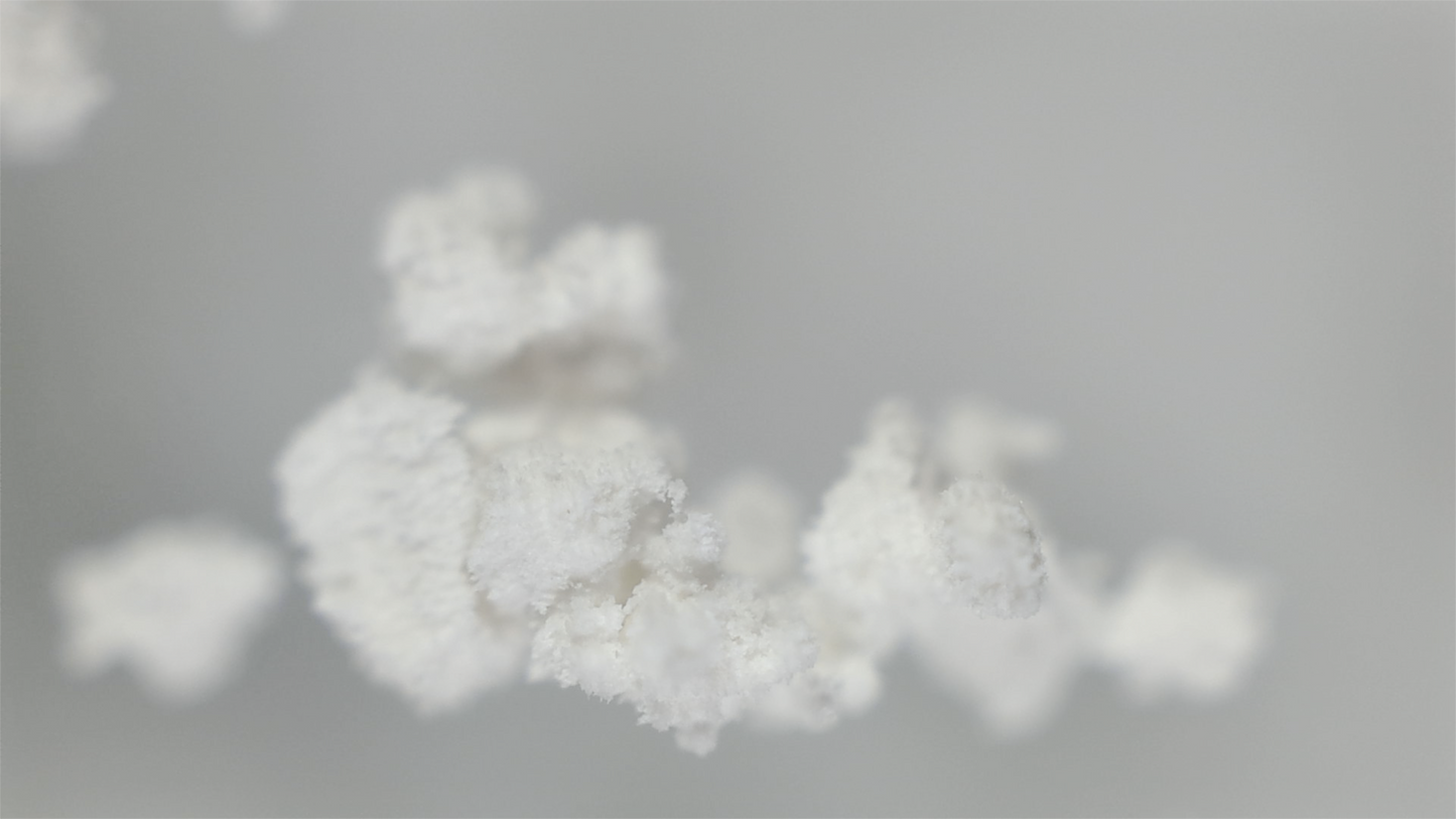Oct 17 | Crash Course 1: Gesso, Grounds & Pigment Classification