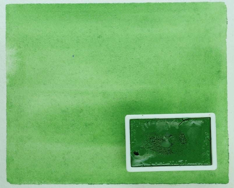 Watercolor Pans Series 2