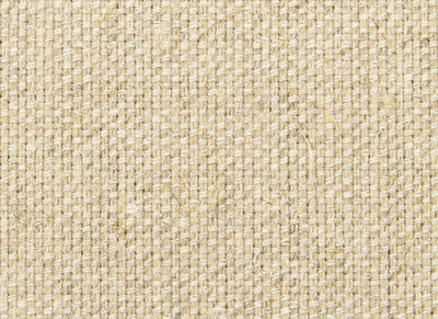 Canvas & Linen