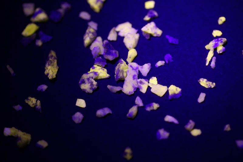 Colorful flower petals on a dark blue background