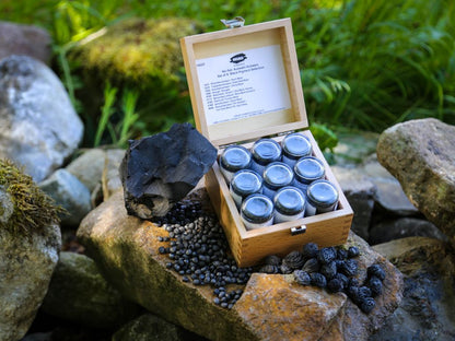 Wooden box with glass jars containing black berries on a stone surface with greenery in the background