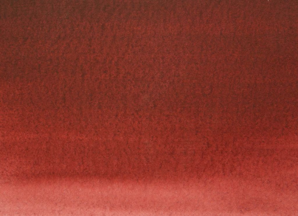 Perrindo Maroon, PR 179
