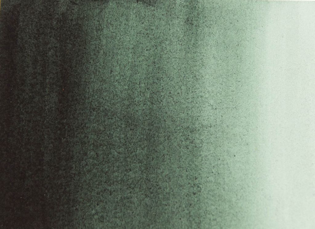 Noir NIR spécial - vert pérylène