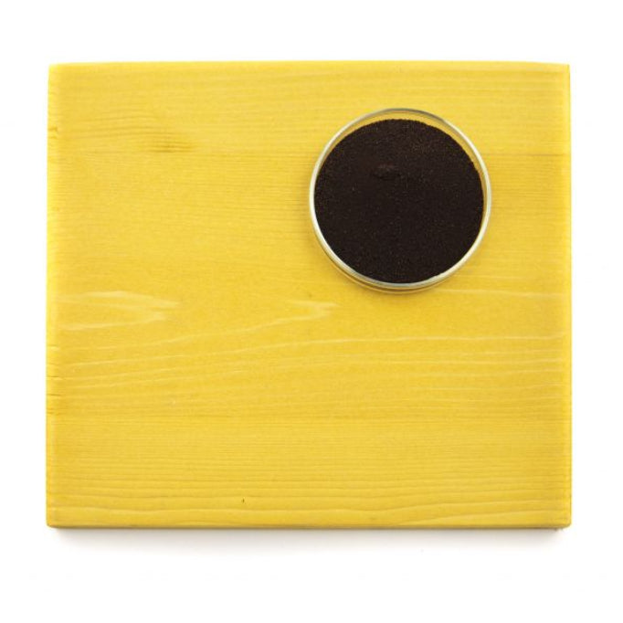 XSL Translucent Yellow