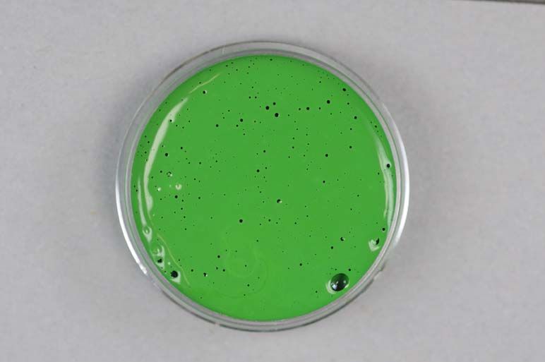 Kremer Color Paste - Chrome Oxide Green, PG 17