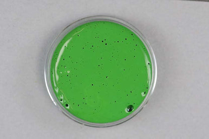 Kremer Color Paste - Chrome Oxide Green, PG 17