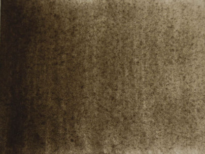 Raw Umber, greenish dark