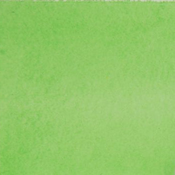 Studio Pigment Light Green