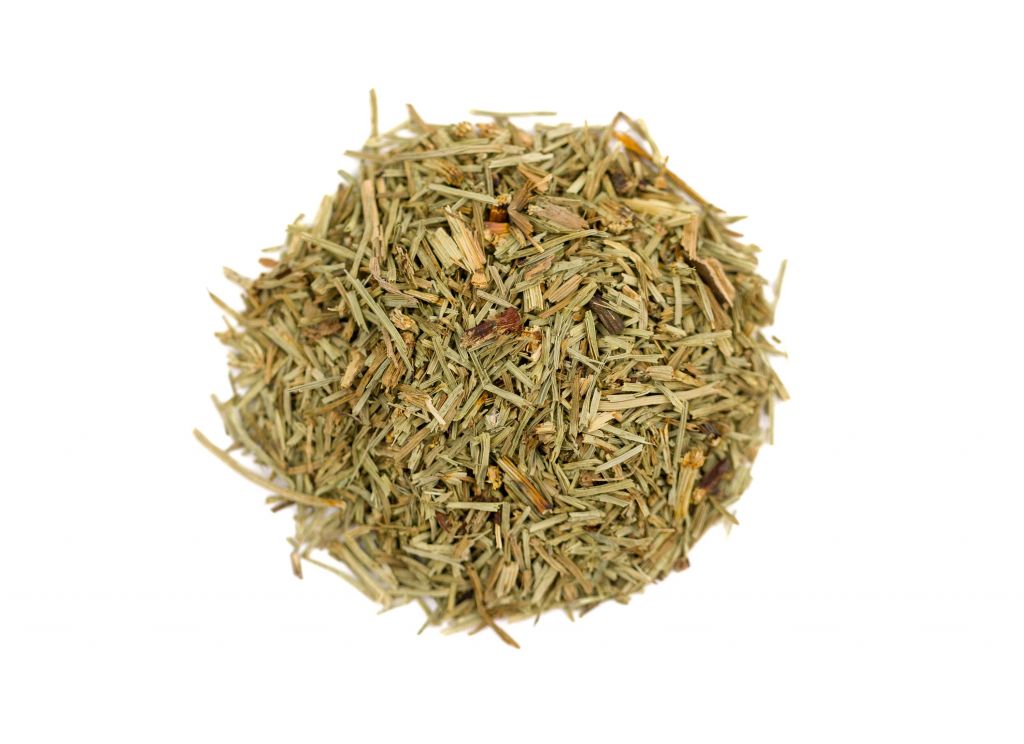 Scouring Rush, shredded
