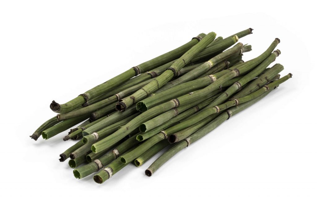 Scouring Rush, whole, bundle