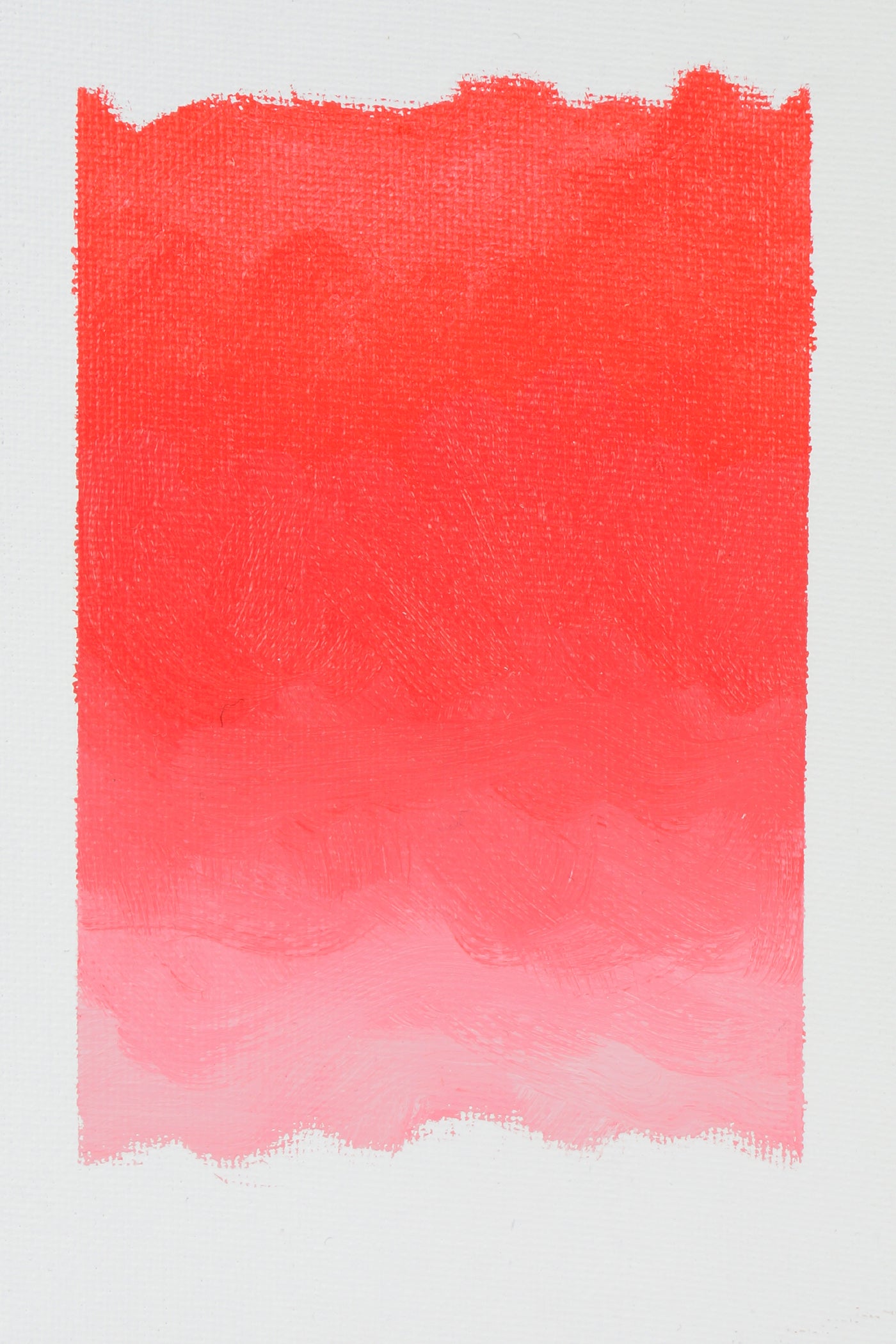 Persian Rose