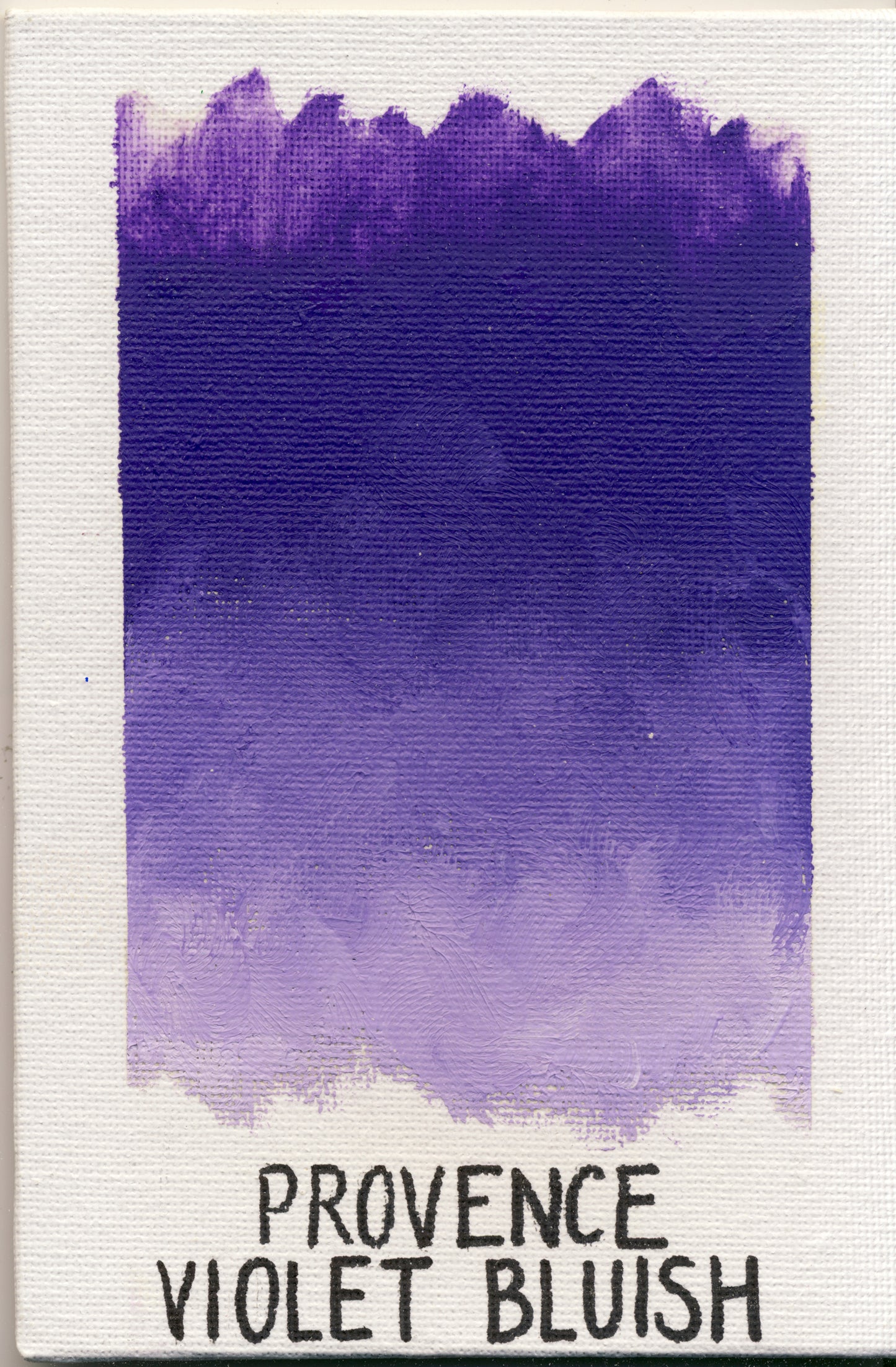 Provence Violet Bluish