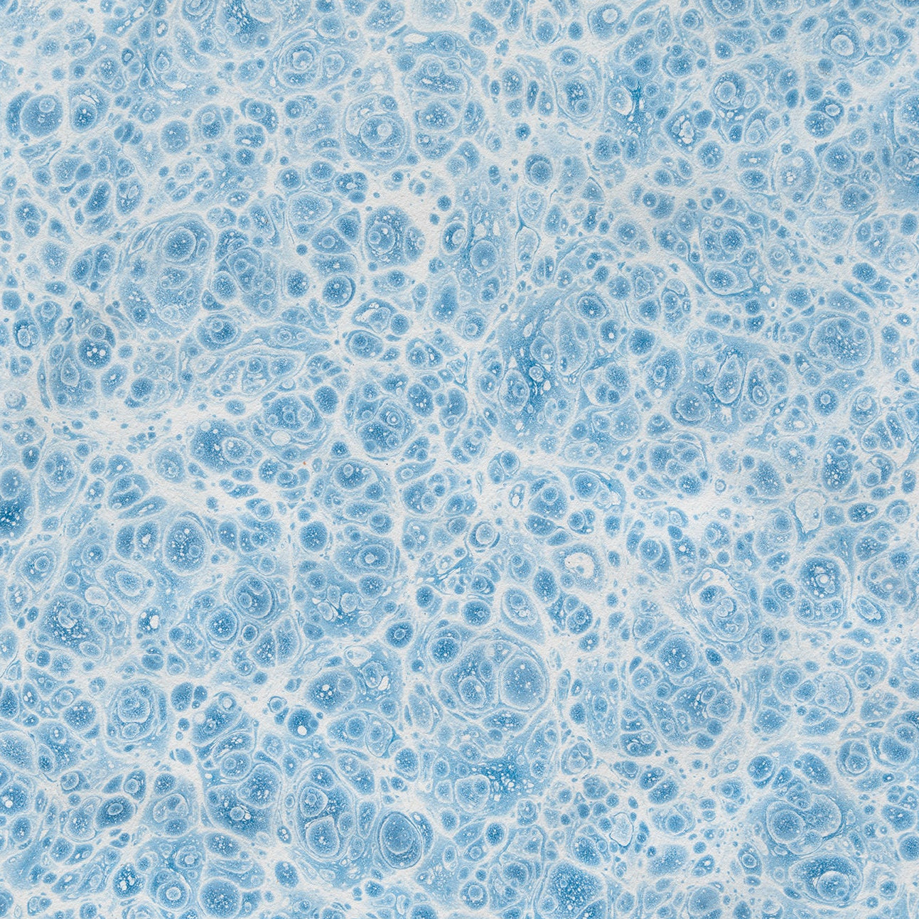 6/20 "Marbling With Handmade Paint" Hands-On Workshop