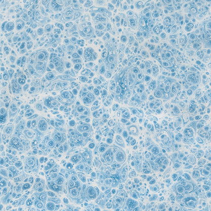 6/20 "Marbling With Handmade Paint" Hands-On Workshop