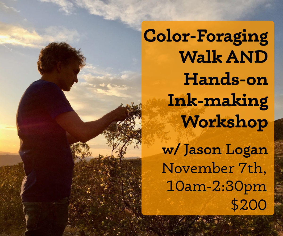 Nov 7 | A Day of Color Exploration with Jason Logan