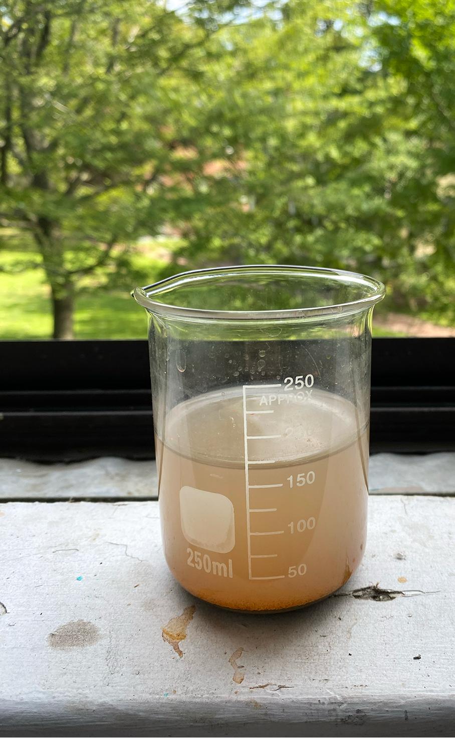 Beaker with brown liquid on a windowsill with greenery outside
