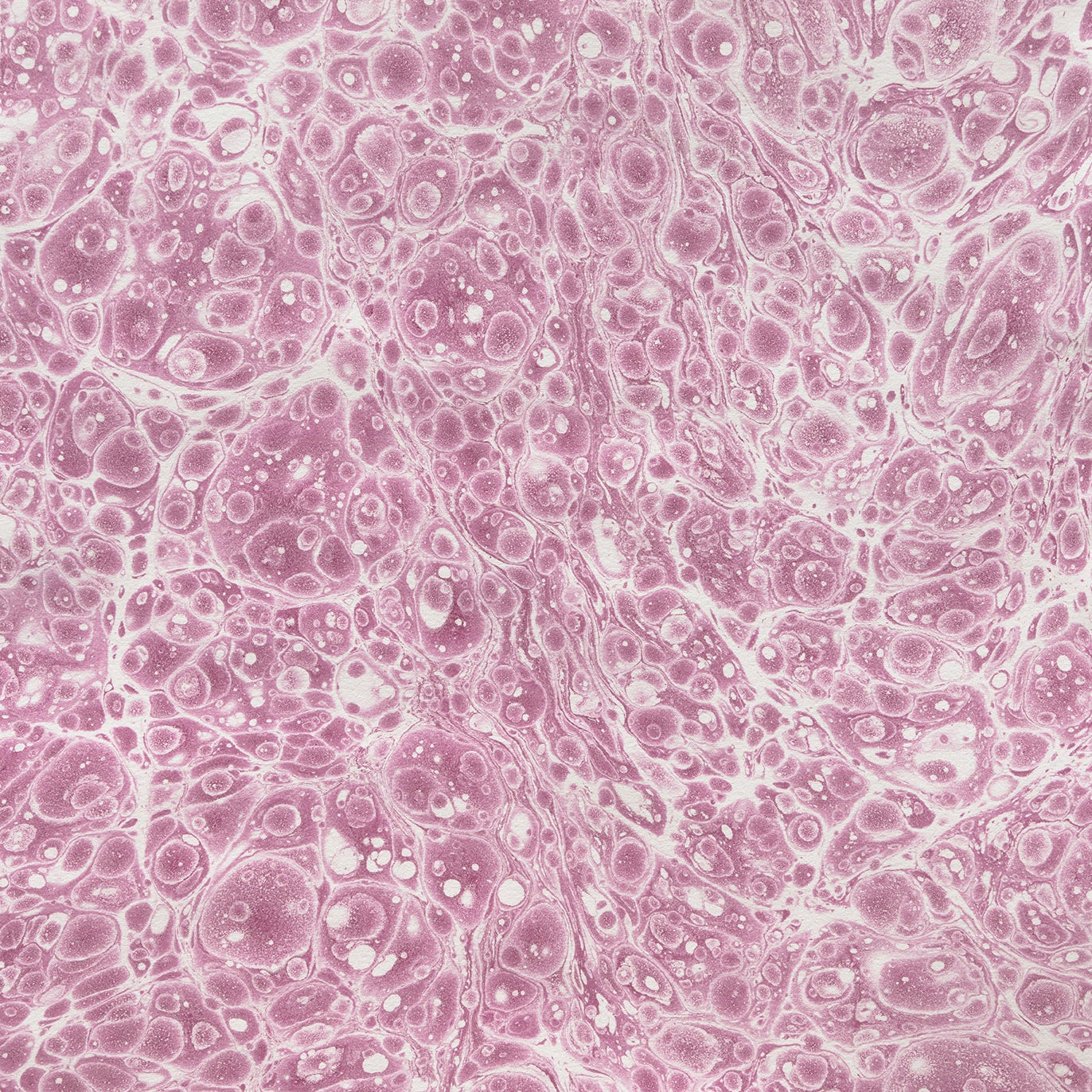 7/25 "Marbling With Handmade Paint" Hands-On Workshop